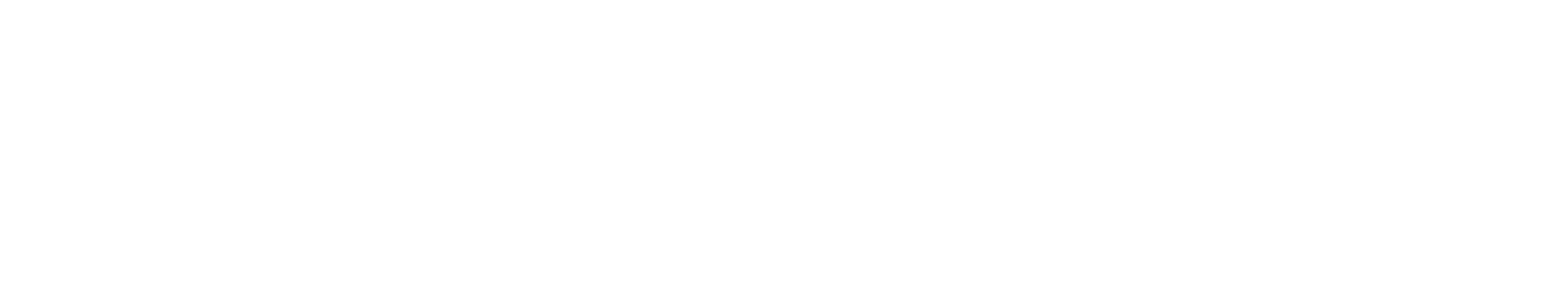 Austin American-Statesman